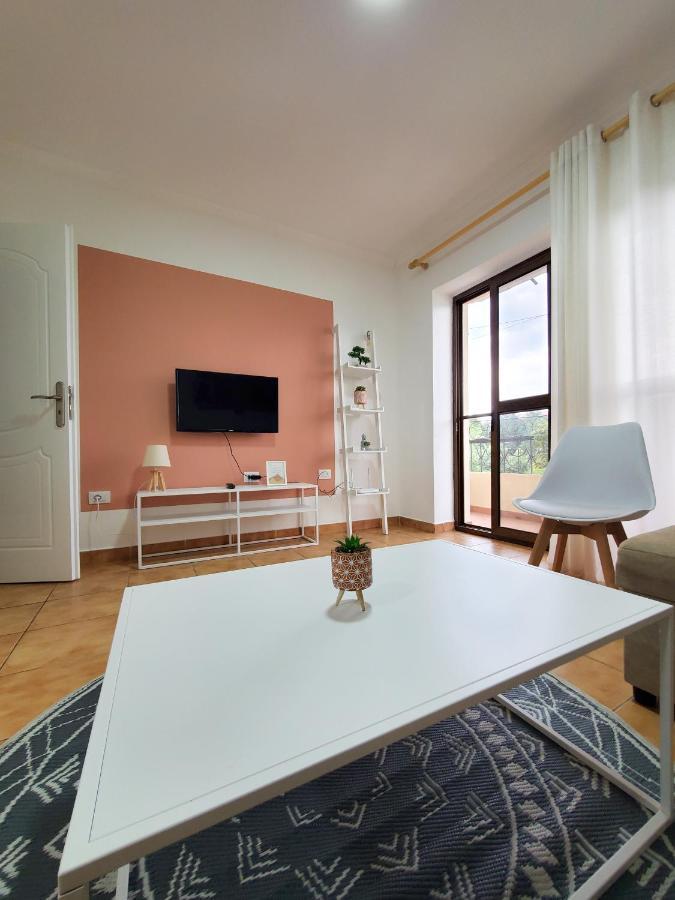 Centre Apartment In שקודר מראה חיצוני תמונה